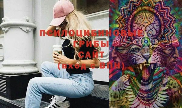 крисы Михайлов