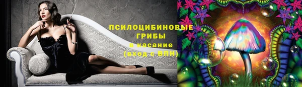 дживик Михайловка