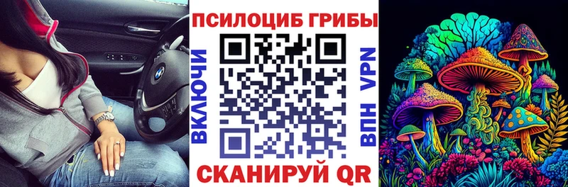 Псилоцибиновые грибы MAGIC MUSHROOMS  Купить  Абинск 